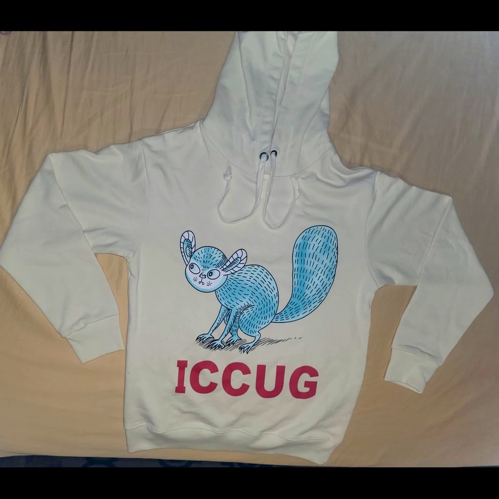 Authentic NWT Gucci ICCUG Unisex Hoodie